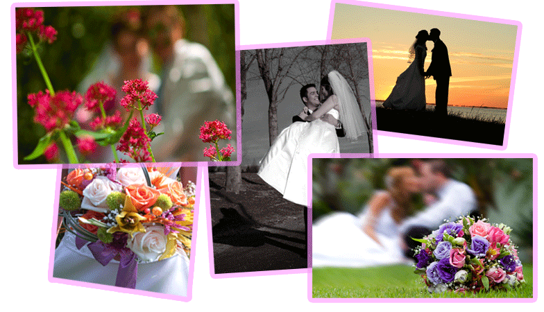 ������ ��������